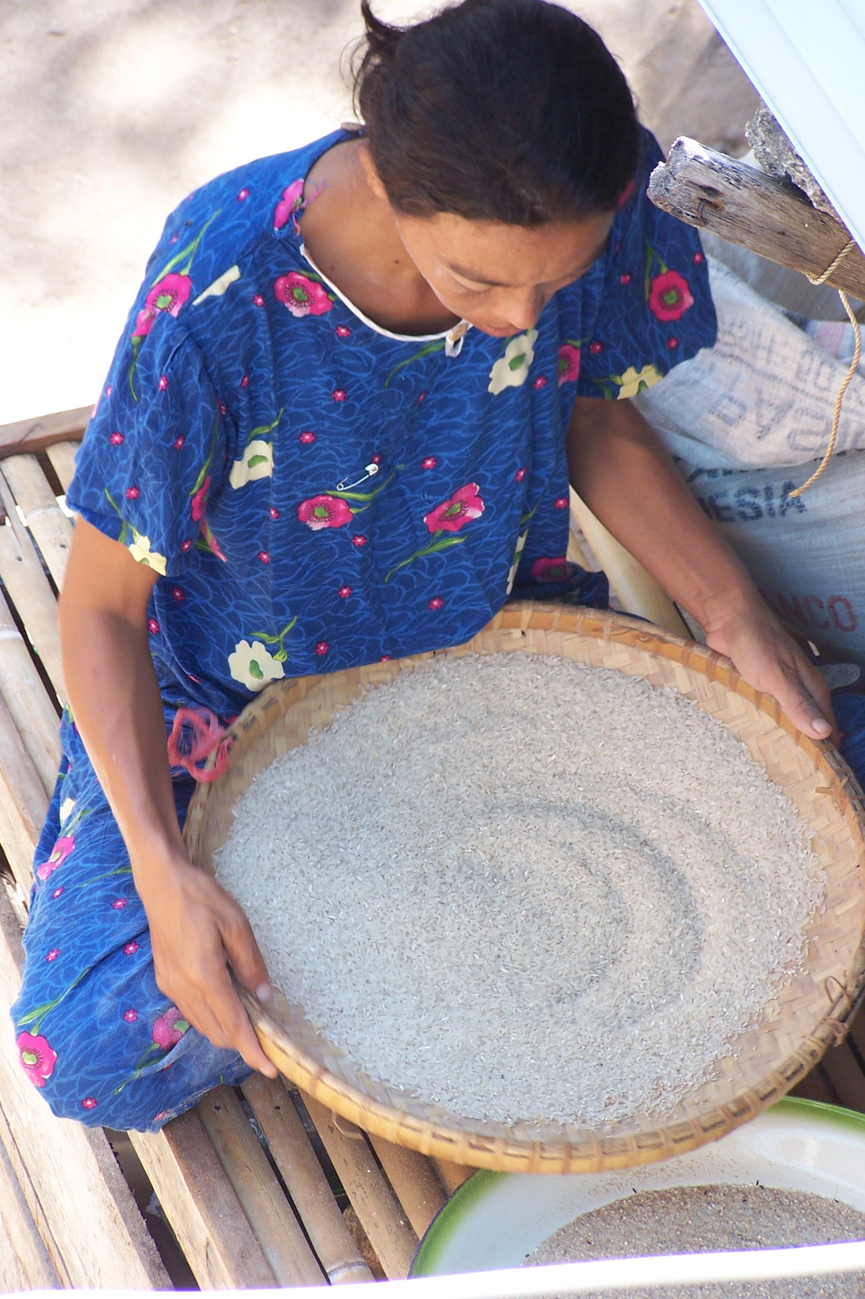 Amatoan woman cleaning rice